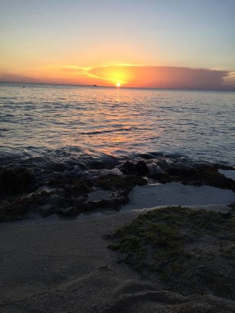 Sunset at Cozumel stock photo
