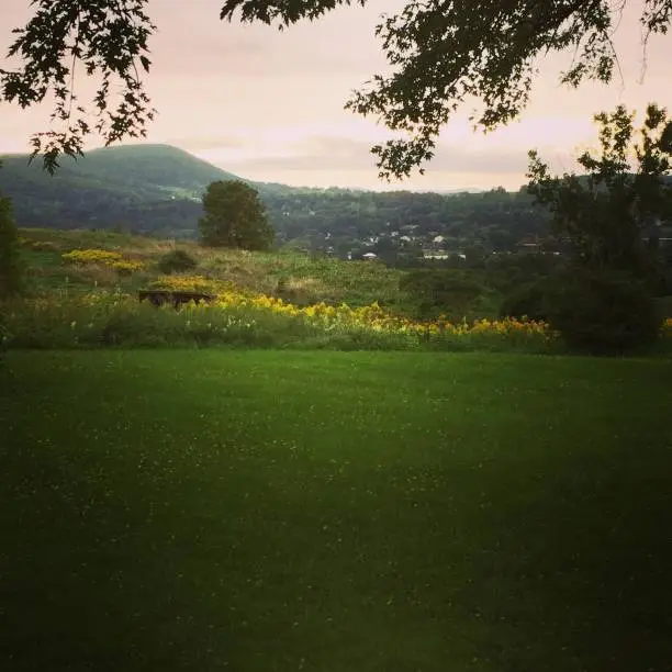 Peeking through a willow over the schoharie valley and a mowed lawn.