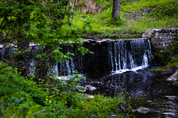 istock Beauty of nature 1316655594