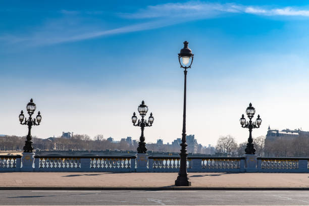 istock Paris, the Alexandre III bridge 1316655692