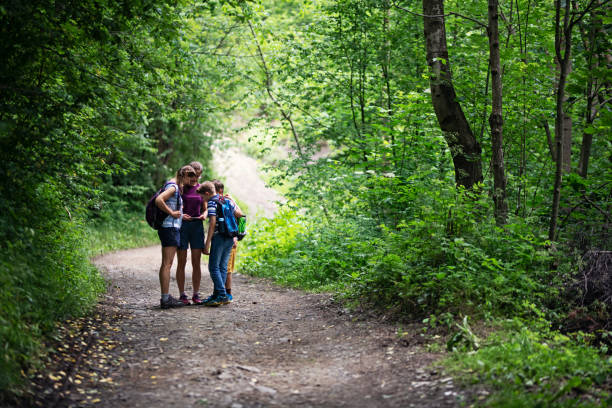 istock Hiking family hiking on the forest path into the spring 1316655966