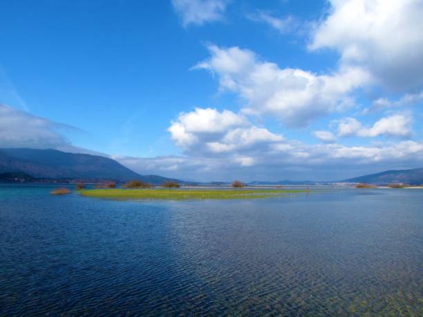 vue scénique du beau lac cerknica ou cerknisko jezero dans la région de notranjska de slovénie avec les nuages blancs dans le ciel bleu - lake cerknica photos et images de collection