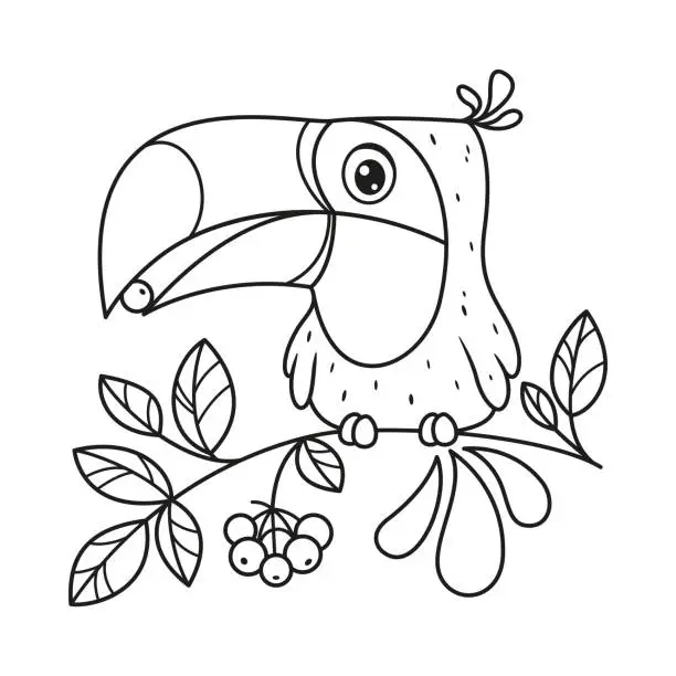 Vector illustration of Toucan sits on branch and eats berry coloring page. Cartoon vector illustration