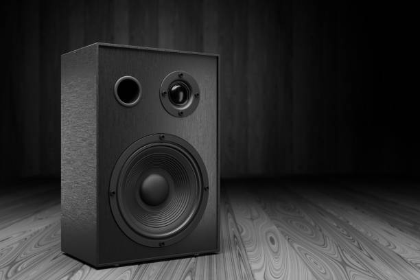 istock Black music speaker on a dark background. Empty space for your design. 3d rendering. 1316657112