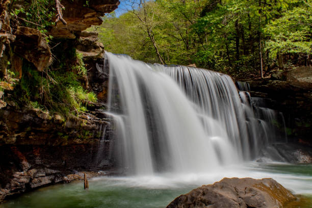 istock Scenic waterfall in West Virginia 1316657780