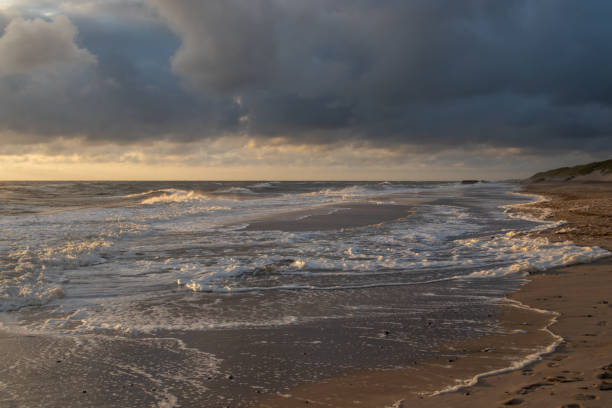 istock beach at sunset at the danish north sea 1316658142