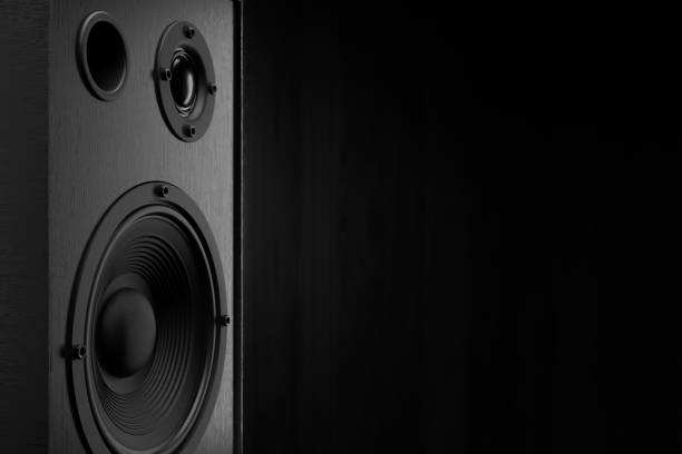 istock Audio speaker. The musical equipment. 3D rendering 1316659142
