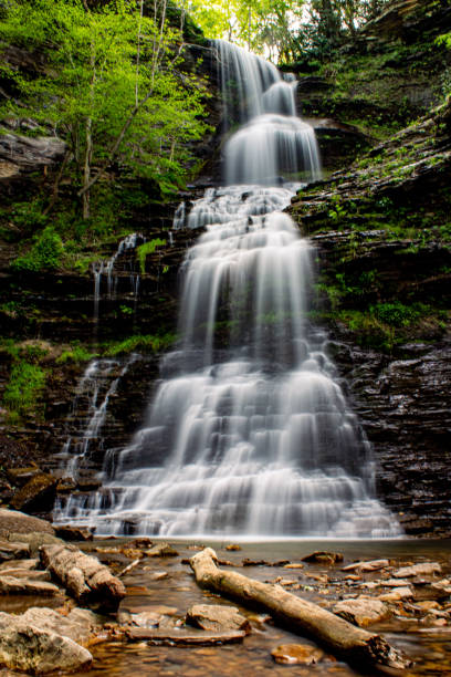 istock Cathedral Falls in West Virginia 1316659281
