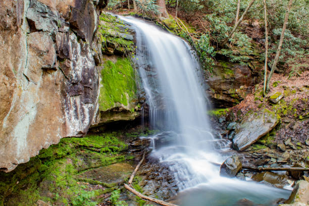 istock Scenic waterfall in West Virginia 1316659400
