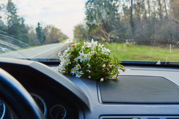 istock Spring flowers on the car's torpedo under the windshield. 1316660680