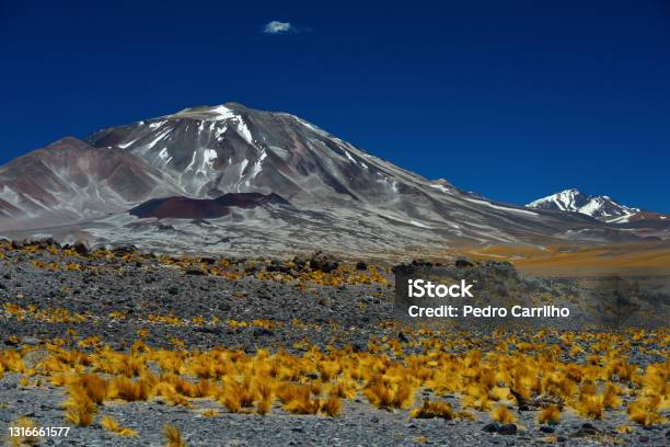 A Row Of Highaltitude Volcanoes Stock Photo - Download Image Now - Ojos Del Salado, Volcano, Altiplano
