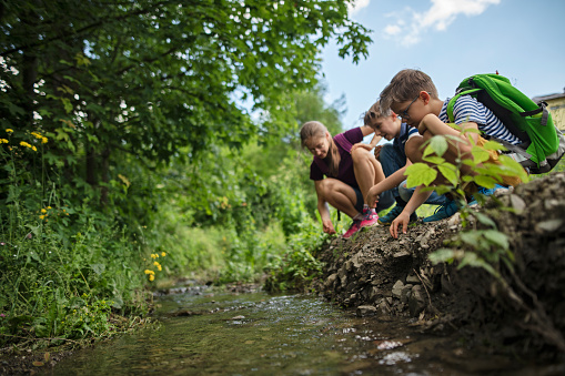 Kids are having fun hiking. They are crouching on the side of a small stream and playing.\nNikon D850