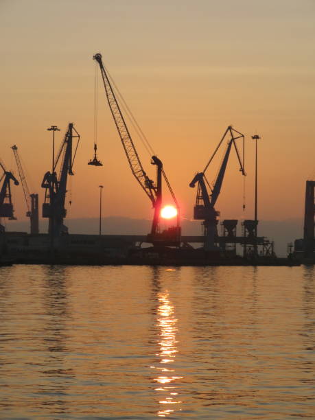istock Cranes at the port of Ancona (Italy) 1316667956