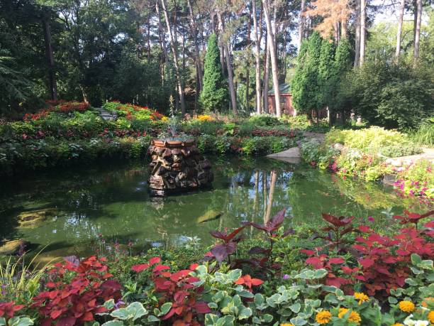 istock beautiful garden pond 1316668017