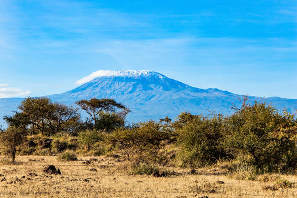 istock The snow-capped Mount Kilimanjaro 1316668862