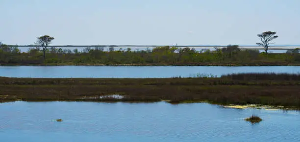 Photo of Assateague Island National Seashore