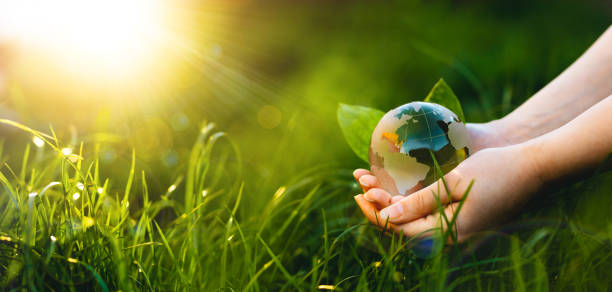 istock Environment Day, save clean planet, ecology concept. Hands holding crystal earth globe in sunny green grass. 1316669884