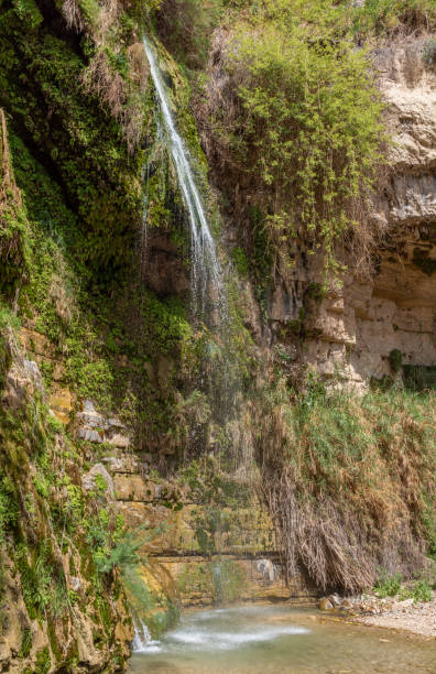 istock Waterfall in Ein Gedi Nation Park in Israel 1316670669