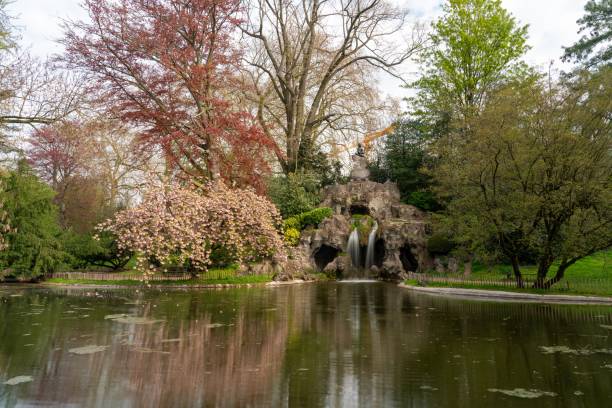 istock Japanese cherry tree is in the park next to the waterfall 1316671253