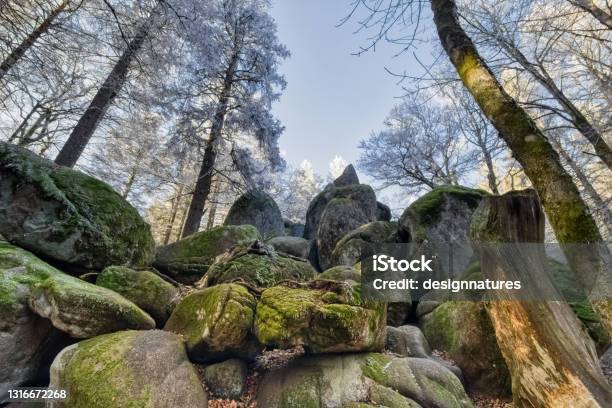 At The Guenterfelsen In The Black Forest Germany Before The Beginning Of Winter When The Frost Ripe Is Visible Only On The Pine Needles And The Icy Moss Of The Giant Rocks Stock Photo - Download Image Now