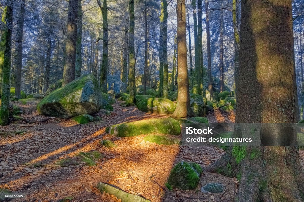The Guenterfelsen, a large, mossy rock formation with a sun ray on the autumn foliage, at the Brend Way in the Black Forest, Southwest Germany Ancient Stock Photo