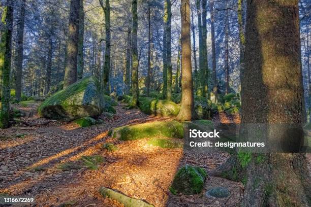 The Guenterfelsen A Large Mossy Rock Formation With A Sun Ray On The Autumn Foliage At The Brend Way In The Black Forest Southwest Germany Stock Photo - Download Image Now