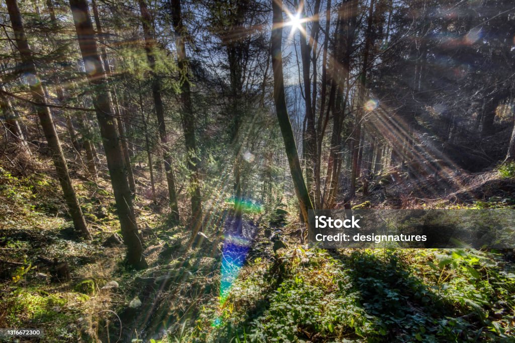 Simonswald sunbeam with a view down the valley in the Black Forest Autumn Stock Photo
