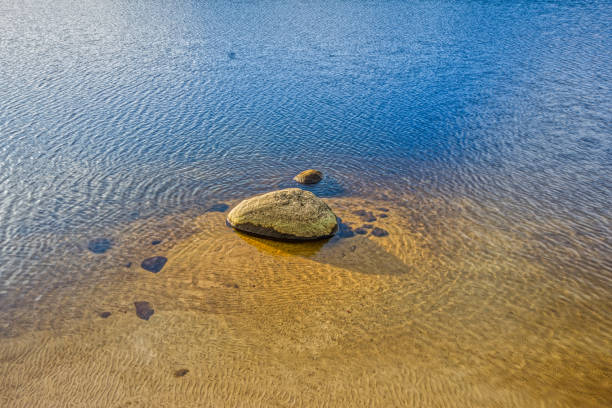 istock Stone in a lake in the sand with several ripple textures 1316672309
