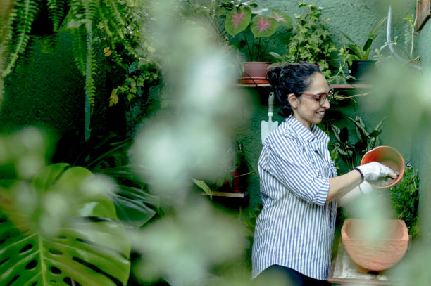 istock A woman placing expanded clay in a pot for herbs