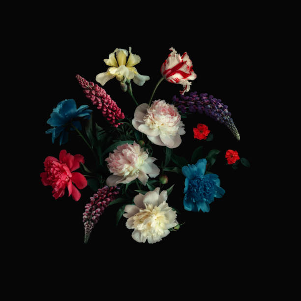 istock Floral collage on black background. Digital art. 1316676034
