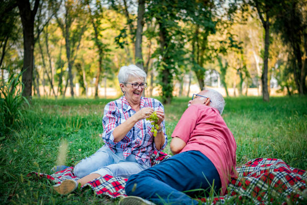 istock Senior Couple Having Picnic In Nature 1316676429