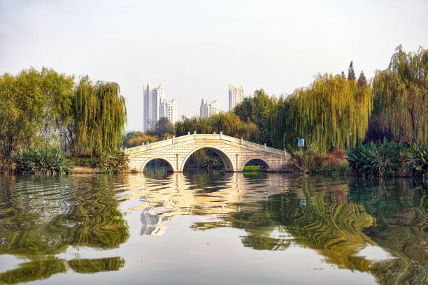 istock Beautiful trees surrounding bridge over calm water 1316677149