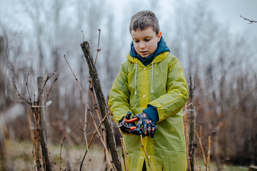 Kids helping their grandfather in the field