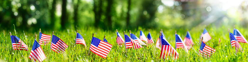 Usa Flags In Green Field - Defocused Abstract Memorial Day background