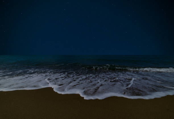 istock Stars on a beach in Tuscany, Italy 1316689451