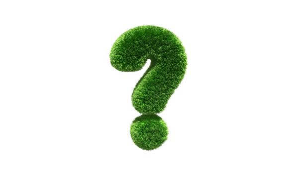 istock Question mark grass font isolated on white background. Concept of grassed question symbol. Metaphor for nature, conservation, organic, growth, environment, ecology. 3D rendering 1316690016