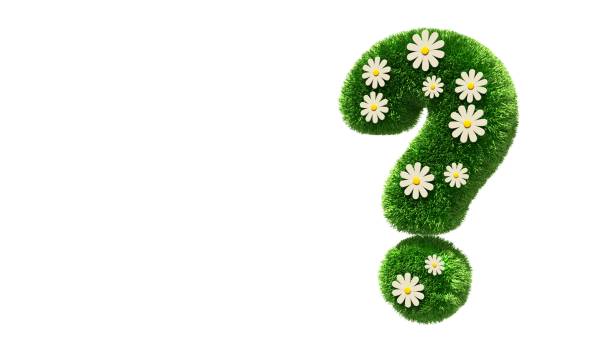 istock Question mark grass font with flower chamomile isolated on white background. Concept of grassed question symbol. Metaphor for nature, conservation, organic, growth, environment, ecology. 3D rendering 1316690051