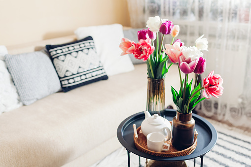 Interior and home decor. Fresh tulips flowers put in vases on coffee table with tea kettle and cup on rattan tray