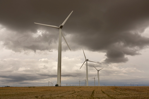 Wind energy, alternative energy. Windmills stand in the field and produce electricity