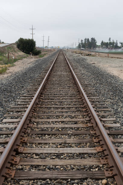 vanishing railroad track in northern california - railroad spikes imagens e fotografias de stock