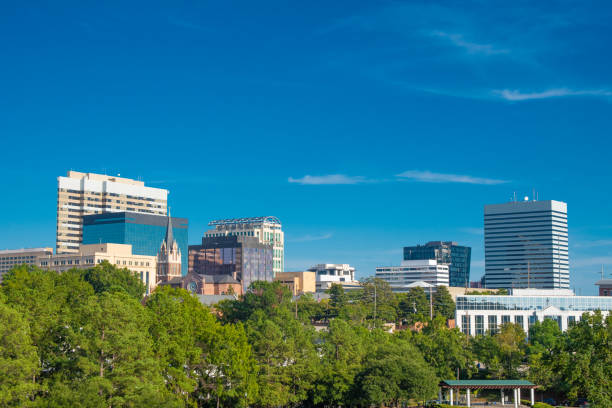 istock Columbia, South Carolina Skyline 1316695806