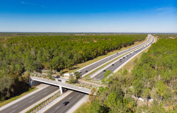 istock Aerial View of Interstate with Land Bridge Overpass 1316696430