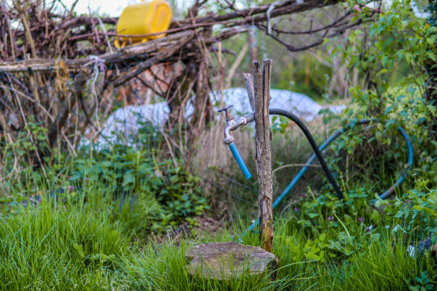 istock Faucet hangs on tree in garden on sunny spring day 1316696563