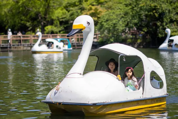 Asian family visiting public park and spending precious time together in holiday season in Japan under covid-19 situation. Riding a boat, walking in forest, playing with ball, eating lunch on picnic blanket, etc... Keep social distancing from other people.