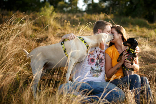 istock Young couple sitting on grass with their dogs 1316701400