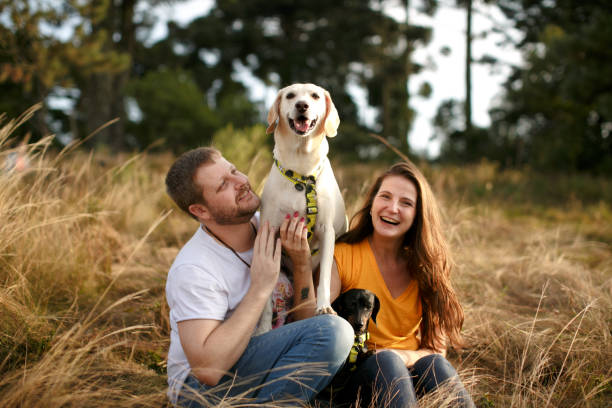 istock Young couple sitting on grass with their dogs 1316701404