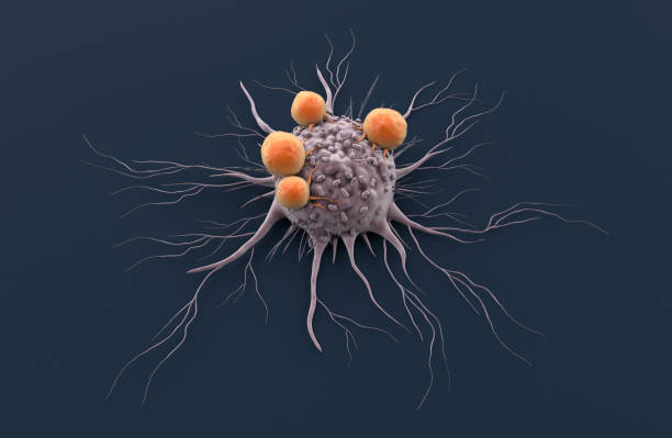 istock Cancer cell attacked by Lymphocytes 1316704768