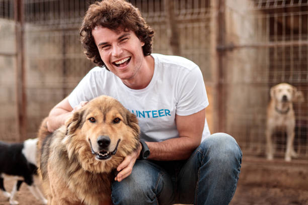 istock Cheerful volunteer with dog in shelter 1316709700