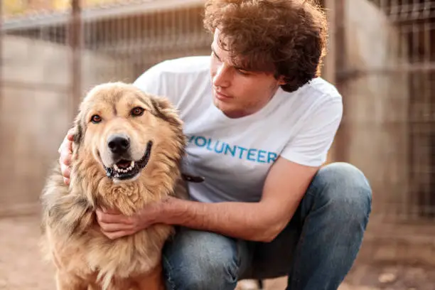 Responsible attentive young male volunteer caring adorable hairy dog while working in animal shelter