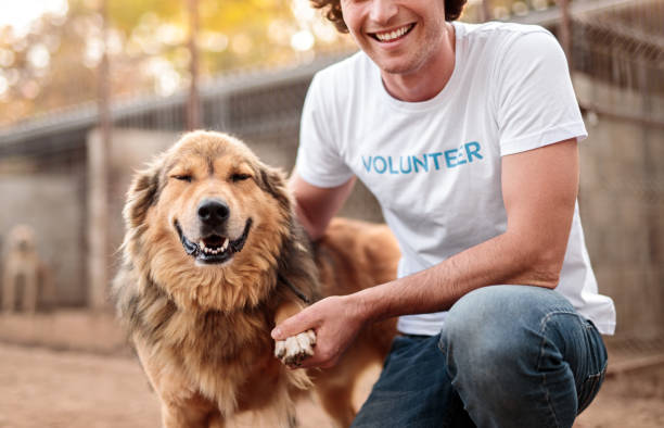 istock Happy volunteer communicating with dog in shelter 1316709710